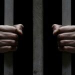 Kedi Katiline Hapis Cezası!