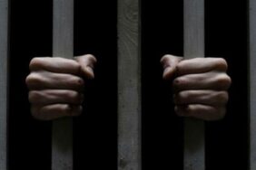 Kedi Katiline Hapis Cezası!