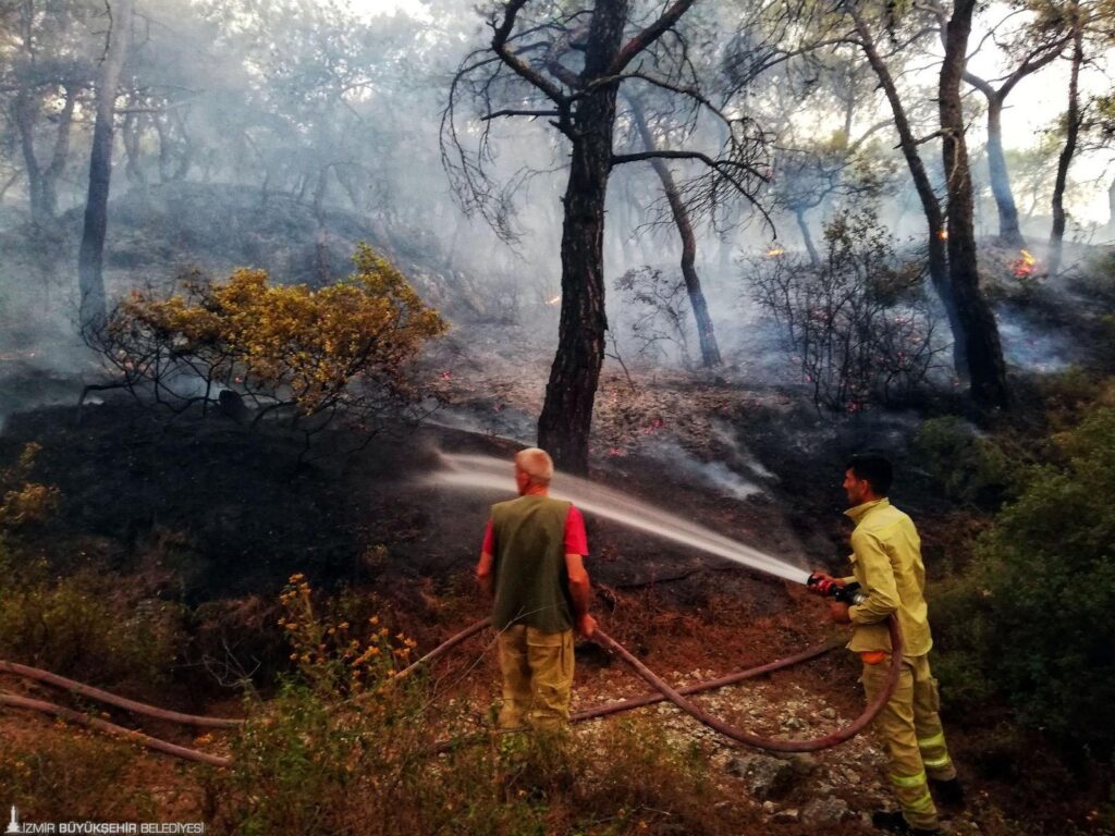 355 yangının 325'i başlangıç aşamasında söndürüldü