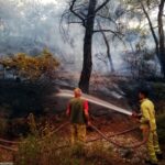 355 yangının 325'i başlangıç aşamasında söndürüldü