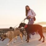 Köpek Gezdirerek Para Kazanma