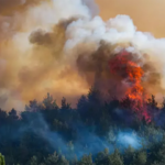 Selçuk, Menderes ve Çeşme'deki Orman Yangınları Kontrol Altında