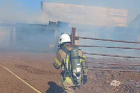 Yeni Şakran ve Urla’da Çıkan Yangınlar Hızla Kontrole Alındı