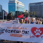 İzmir'de Hayvanseverlerden Tepki Yasayı Geri Çekin!