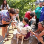 Karşıyaka'da “Can dostlarımızın evi olur musunuz” Çağrısı