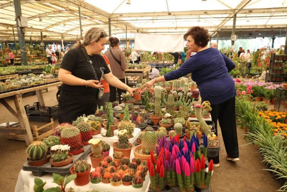 Karşıyaka’da Çiçeklerle Dolu Bir Festival Coşkusu