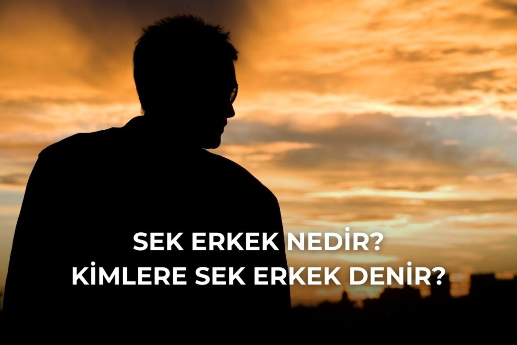 sek erkek nedir