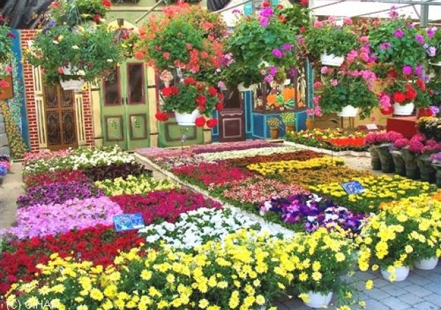 1. Balkon ve Bahçe Bitkileri Festivali Kültürpark’ta