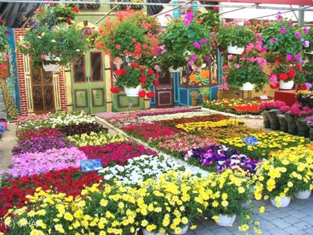 1. Balkon ve Bahçe Bitkileri Festivali Kültürpark’ta