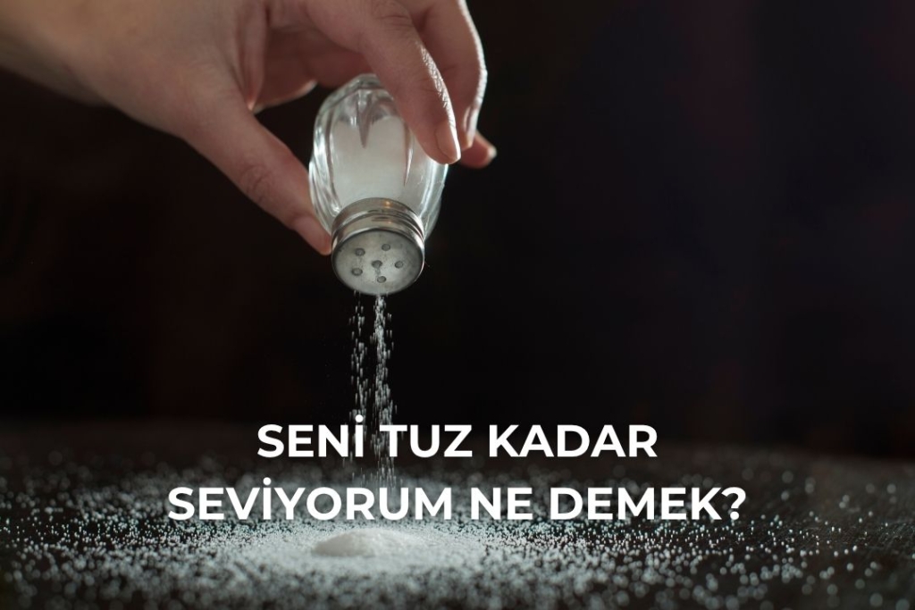 Seni Tuz Kadar Seviyorum Ne Demek