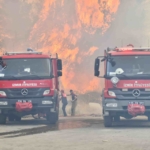 Bornova Gökdere’de Orman Yangınına Karşı Yoğun Mücadele