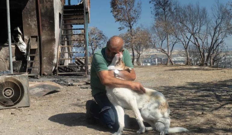 Kaptan Yangından Kurtarıldı, Yeni Yuvasına Kavuştu