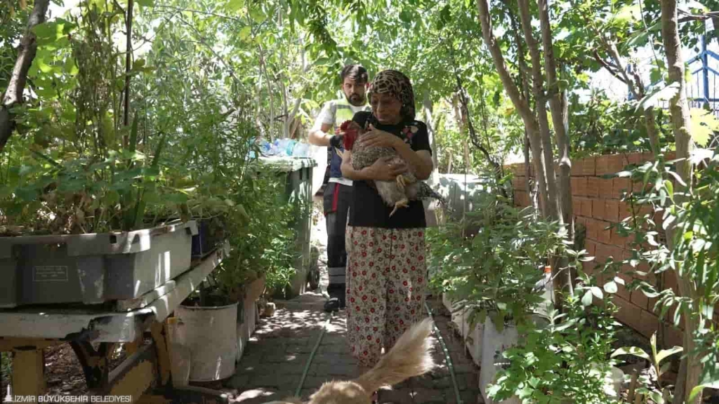 Yangından Kurtarılan Can Dostlar Sahibine Kavuştu