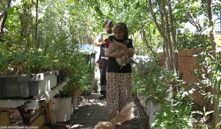 Yangından Kurtarılan Can Dostlar Sahibine Kavuştu