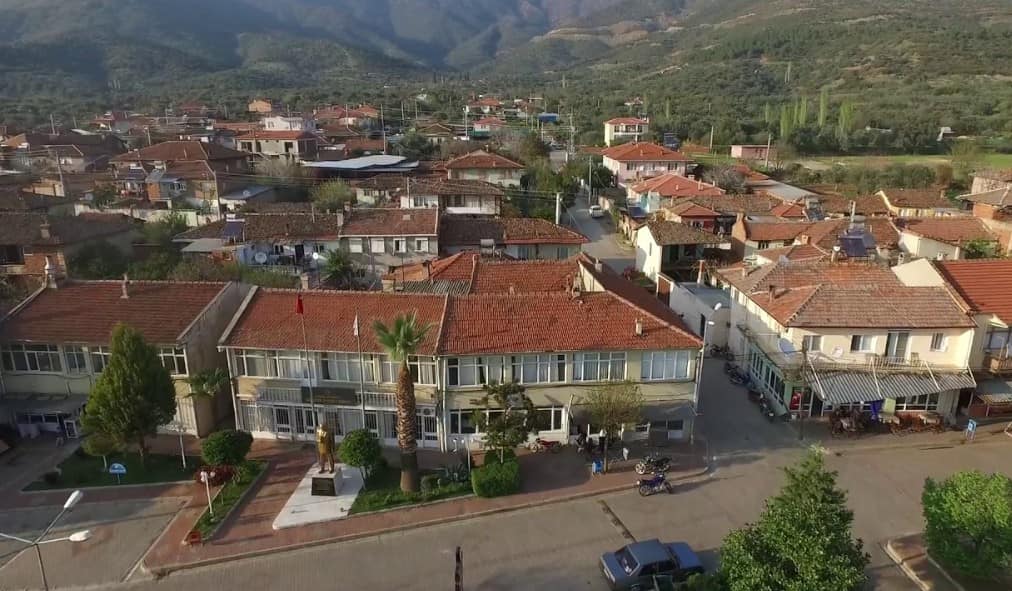 Zeytinlik