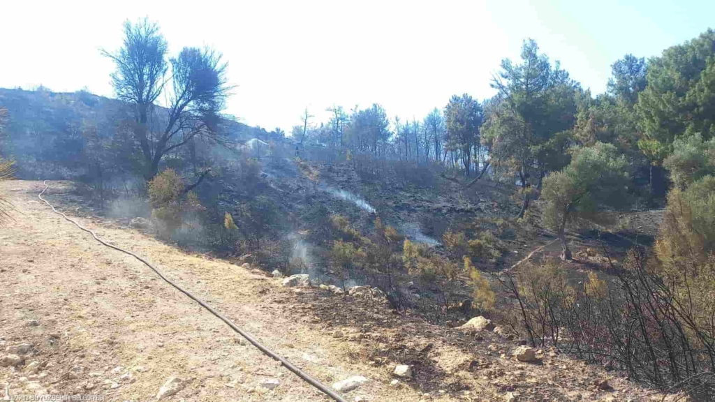 Buca ve Aliağa’daki Orman Yangınları Kontrol Altına Alındı