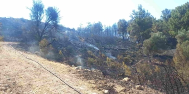 Buca ve Aliağa’daki Orman Yangınları Kontrol Altına Alındı