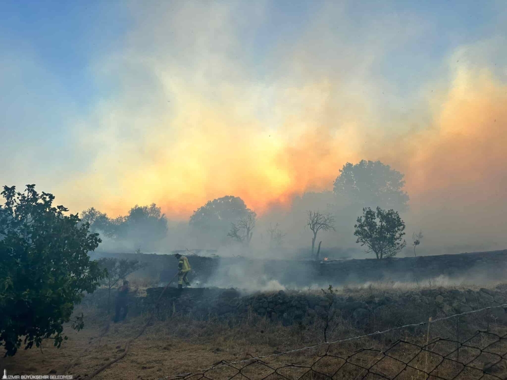 Çandarlı’da Yangın: 7 Ev Küle Döndü 4 Ev Hasar Gördü
