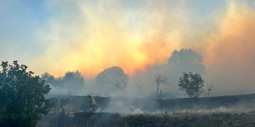 Çandarlı’da Yangın: 7 Ev Küle Döndü 4 Ev Hasar Gördü