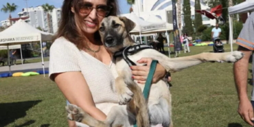 Karşıyaka’dan Sokak Hayvanlarına Şefkat Eli