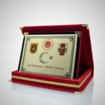 Plaket Seçimi, Fiyatları ve Kişiye Özel Tasarım Rehberi