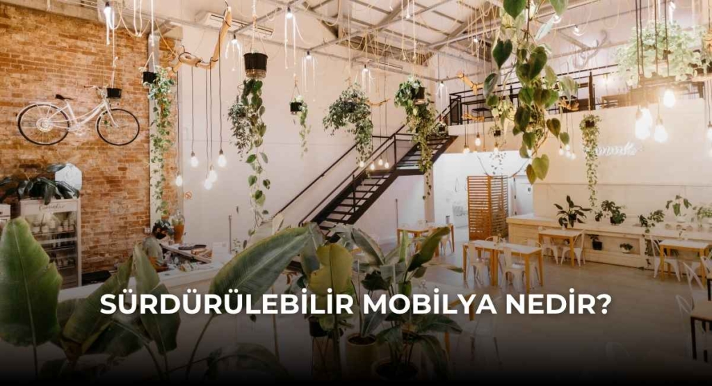Sürdürülebilir Mobilya Nedir