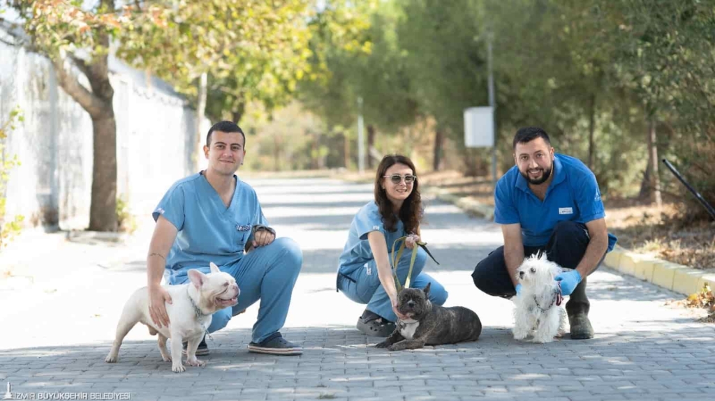 İzmir’de El konulan 20 Köpek Yeni Yuvalarını Bekliyor