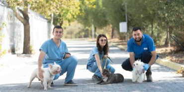 İzmir’de El konulan 20 Köpek Yeni Yuvalarını Bekliyor