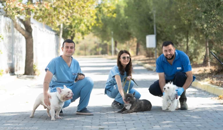 İzmir’de El konulan 20 Köpek Yeni Yuvalarını Bekliyor