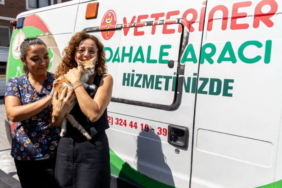 Karşıyaka’da Yaralı Sokak Kedisine Umut Oldular