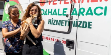 Karşıyaka’da Yaralı Sokak Kedisine Umut Oldular