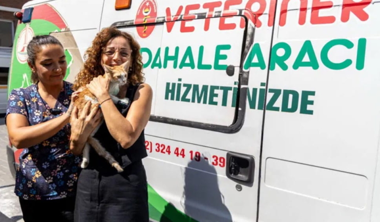 Karşıyaka’da Yaralı Sokak Kedisine Umut Oldular