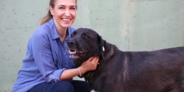 Karşıyaka’da Sokak Hayvanlarına Yıl Boyu Kesintisiz Destek