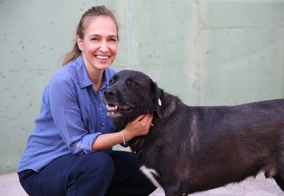 Karşıyaka’da Sokak Hayvanlarına Yıl Boyu Kesintisiz Destek