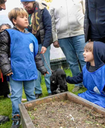 Patili Dostumuz Projesi Tamamlandı