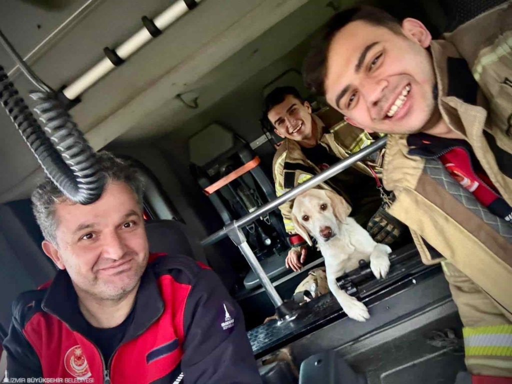 Sel Sularında Mahsur Kalan Köpek Kurtarıldı