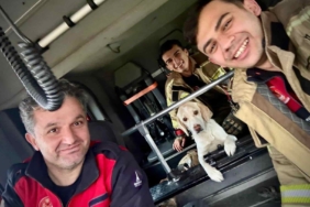 Sel Sularında Mahsur Kalan Köpek Kurtarıldı