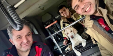 Sel Sularında Mahsur Kalan Köpek Kurtarıldı