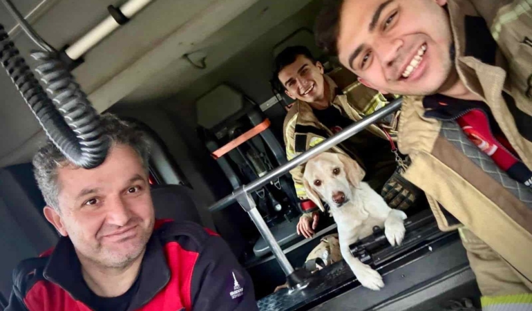Sel Sularında Mahsur Kalan Köpek Kurtarıldı