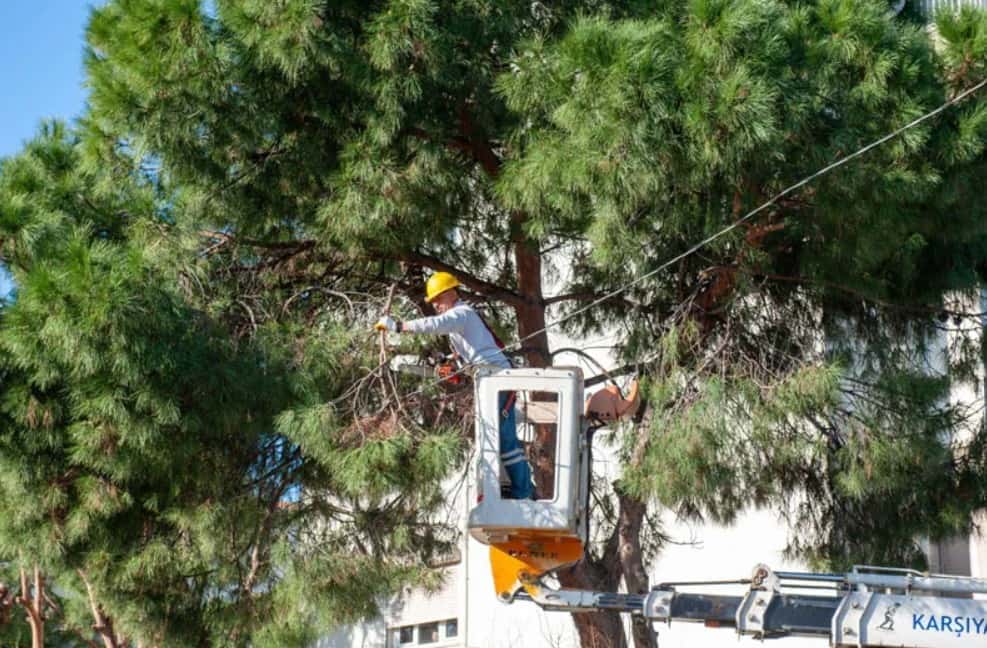 Karşıyaka’da Bahara Hazırlık Başladı