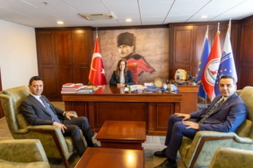 Üç Belediyeden Sahipsiz Hayvanlar İçin Güç Birliği