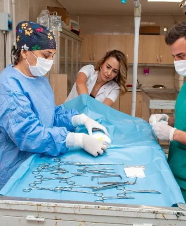 Karşıyaka’da Can Dostlara Kapsamlı Destek Sürüyor